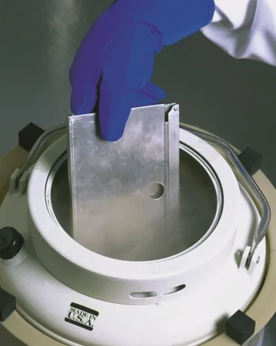 Biomaterials transportation in Armeni